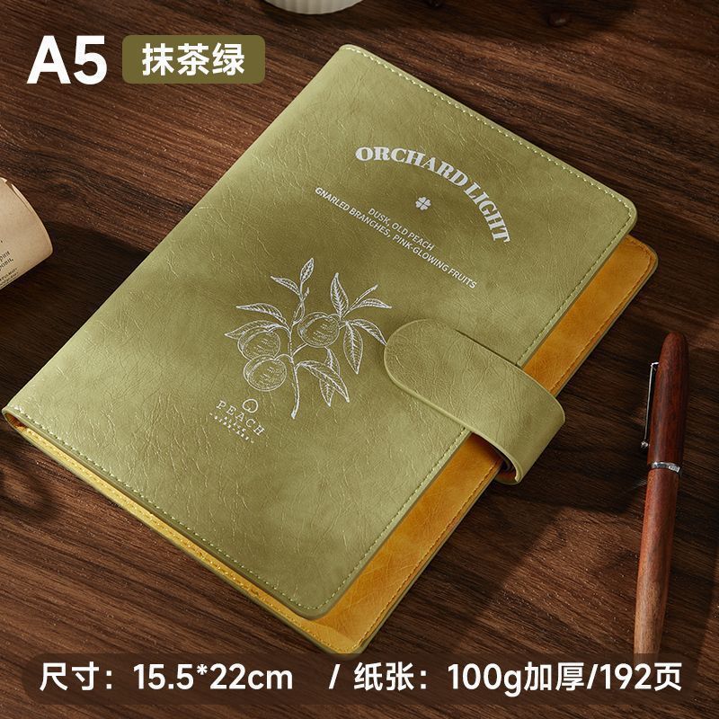 新款a5笔记本本子复古皮面商务记事本工作会议记录本 A5 192页